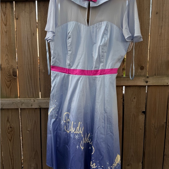 Disney Light Blue and Pink Dress with Sheer Sleeves - Picture 3 of 9